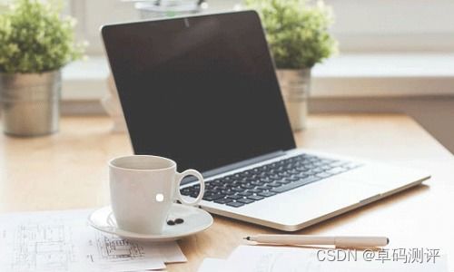 軟件企業(yè)偏愛(ài)外包測(cè)試的背后原因與費(fèi)用揭秘